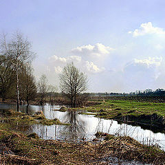 photo "a puddle"