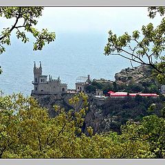 photo "Crimea. "An edible bird's-nest.""