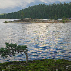 photo "Lake in Rakkolahti"