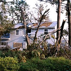 фото "Results of Katrina"