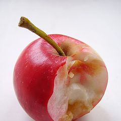 фото "Яблочко"