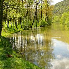 фото "У воды"