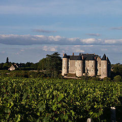 фото "Chвteau de Luynes"