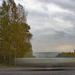 фото "Спешащие в Осень"