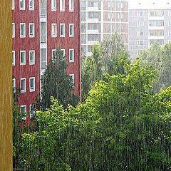 photo "Rain in the city"