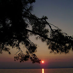 photo "Thassos island"