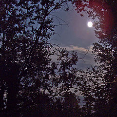 фото "Sky at night"