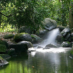 photo "GULBENKIAN GARDEN"