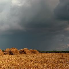 фото "Сентябрь"