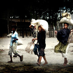 photo "cox's bazar"