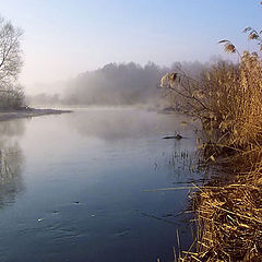 photo "The nightingales will fly only in one month..."