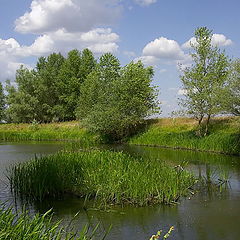 photo "The Astrakhan landscape..."