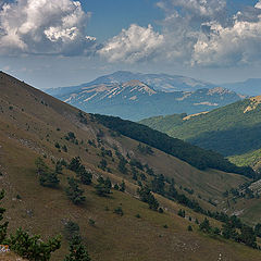 photo "On the plateau 2"