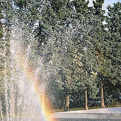 photo "Rainbow bathing in a fountain"