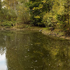 photo "Autumn pond"