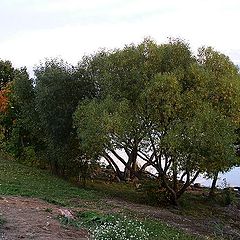 photo "Coast in the autumn."