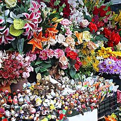 photo "Birds and flowers"