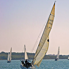 photo "Sailing"