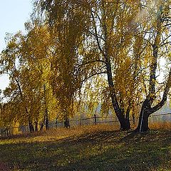 photo "Autumn"