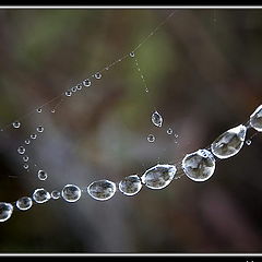 photo "Necklace for the girl about inch"