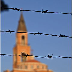 photo "Behind a barbed wire"