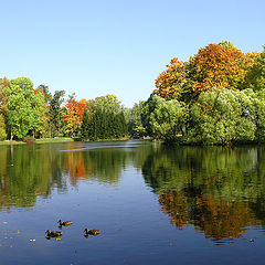 photo "Autumn symmetry"