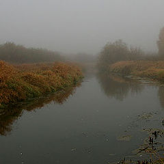 photo "Foggy coast"