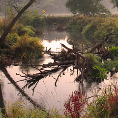 photo "Morning fog near the small river"