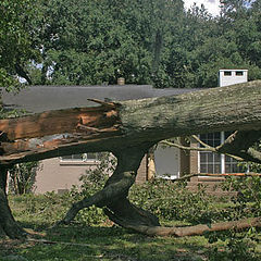 photo "Wrath of katrina"