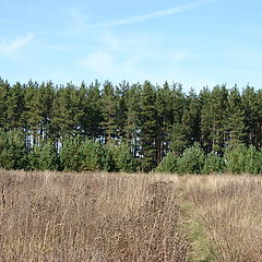 photo "Blue, green, grey"