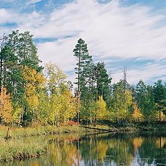 фото "Разноцветье"