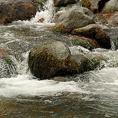 photo "Stones and water"