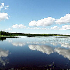 фото "Зазеркалье"