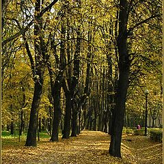 photo "Autumn"