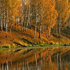 фото "Осенний пейзаж"