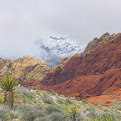 фото "Red Rock Canyon Nevada"
