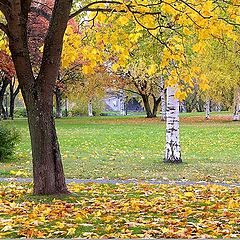 photo "Colors of autumn"