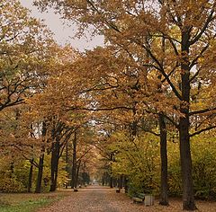 photo "Autumn temple"