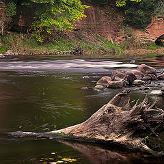 photo "Monster river"