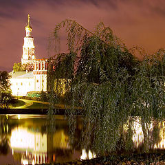 photo "Novodevichiy convent"