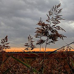 фото "October soul"