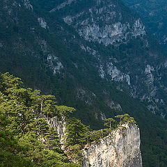 photo "Spotlit rock"