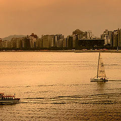 photo "Navigating on golden sea..."