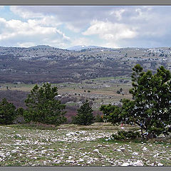 photo "At top of mountain Aj-Petri. Crimea."