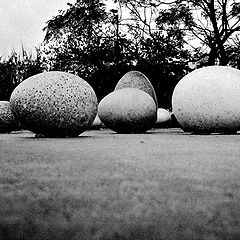 photo "Stone Eggs"