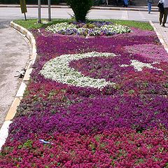 photo "Turkish flag"