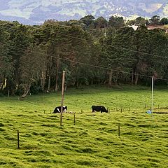 photo "Costa Rica Countryside"