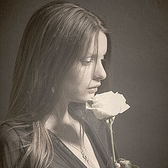 photo "ROSE"