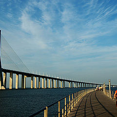 photo "Vasco da Gama Bridge"