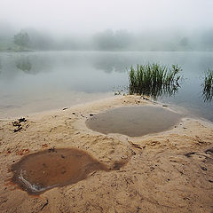 photo "Sleepy banks"